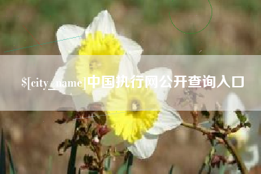 宜阳中国执行网公开查询入口