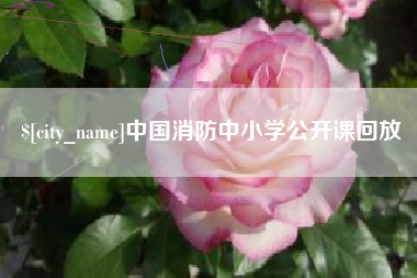 宜阳中国消防中小学公开课回放