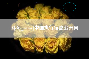 宜阳中国执行信息公开网