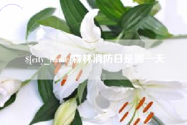 宜阳森林消防日是哪一天