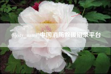 宜阳中国消防救援招录平台