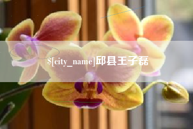 宜阳邱县王子磊