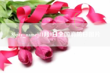 宜阳11月9日全国消防日图片