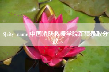 宜阳中国消防救援学院新疆录取分数