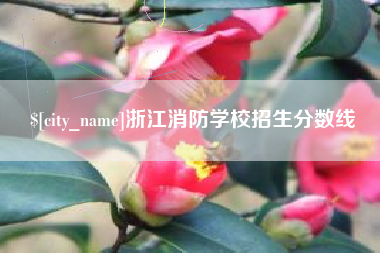 宜阳浙江消防学校招生分数线