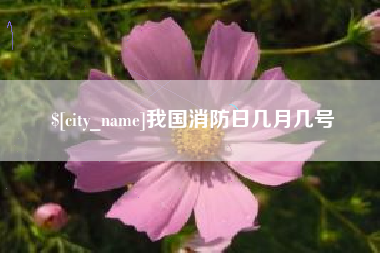 宜阳我国消防日几月几号