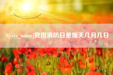 宜阳我国消防日是哪天几月几日