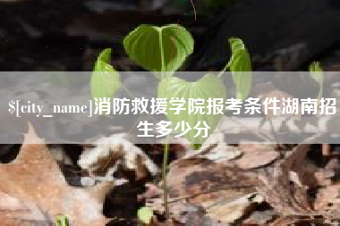 宜阳消防救援学院报考条件湖南招生多少分
