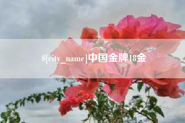 宜阳中国金牌18金