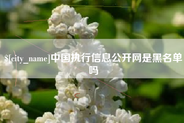 宜阳中国执行信息公开网是黑名单吗
