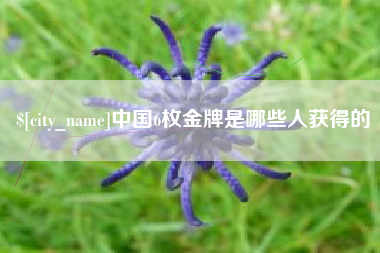 宜阳中国6枚金牌是哪些人获得的