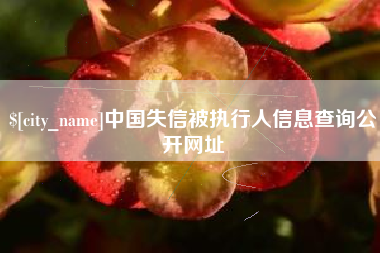 宜阳中国失信被执行人信息查询公开网址