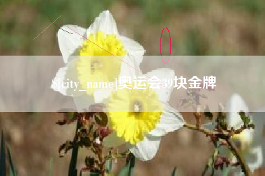 宜阳奥运会39块金牌