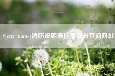 宜阳消防设施操作员证书查询网址