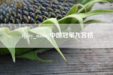 宜阳中国冠军九宫格