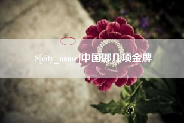 宜阳中国哪几项金牌