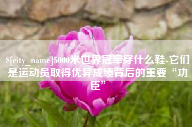 宜阳5000米世界冠军穿什么鞋-它们是运动员取得优异成绩背后的重要“功臣”