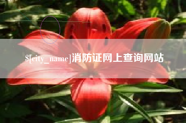 宜阳消防证网上查询网站