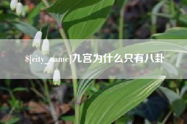 宜阳九宫为什么只有八卦