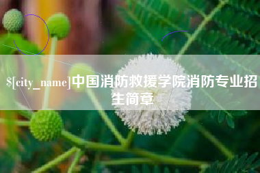 宜阳中国消防救援学院消防专业招生简章