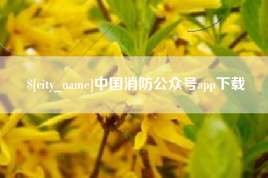 宜阳中国消防公众号app下载