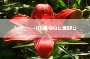 宜阳我国消防日是哪日