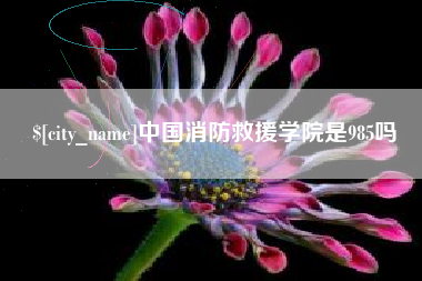 宜阳中国消防救援学院是985吗