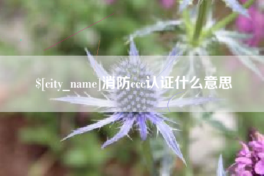 宜阳消防ccc认证什么意思