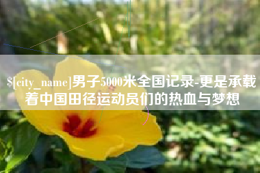 宜阳男子5000米全国记录-更是承载着中国田径运动员们的热血与梦想