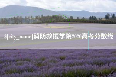 宜阳消防救援学院2020高考分数线