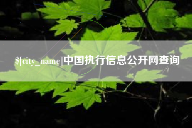 宜阳中国执行信息公开网查询