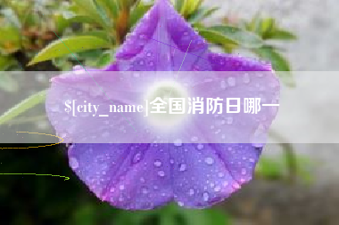 宜阳全国消防日哪一