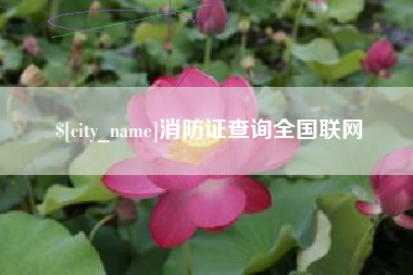 宜阳消防证查询全国联网