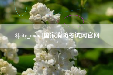 宜阳国家消防考试网官网