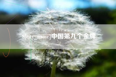 宜阳中国第九个金牌