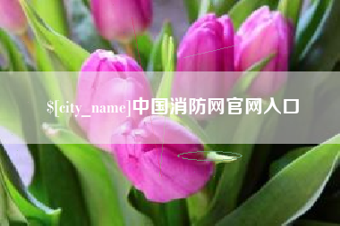 宜阳中国消防网官网入口
