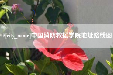 宜阳中国消防救援学院地址路线图