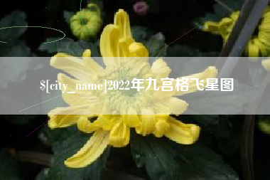 宜阳2022年九宫格飞星图