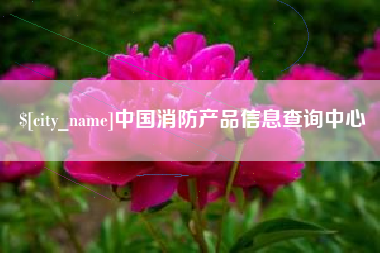 宜阳中国消防产品信息查询中心