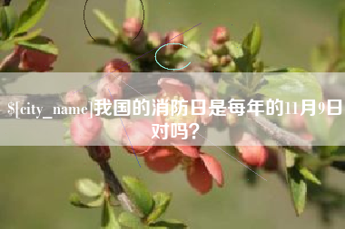 宜阳我国的消防日是每年的11月9日对吗？