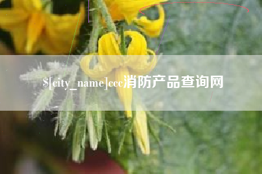 宜阳ccc消防产品查询网