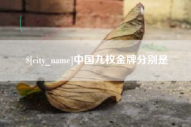 宜阳中国九枚金牌分别是