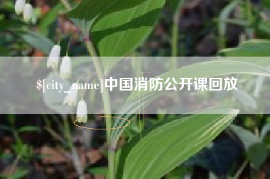 宜阳中国消防公开课回放