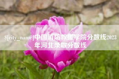 宜阳中国消防救援学院分数线2023年河北录取分数线