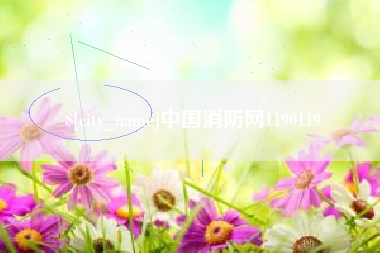 宜阳中国消防网1190119
