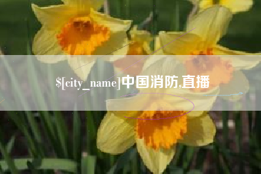 宜阳中国消防,直播