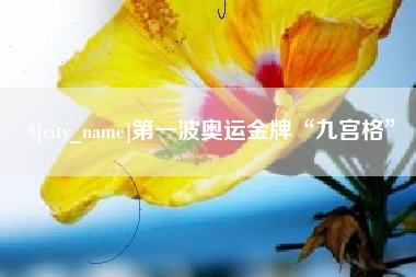 宜阳第一波奥运金牌“九宫格”