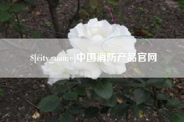 宜阳中国消防产品官网