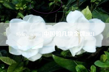 宜阳中国的几块金牌2021