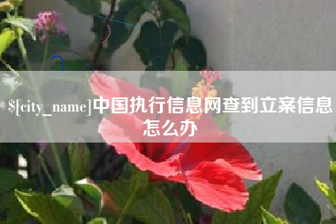 宜阳中国执行信息网查到立案信息怎么办